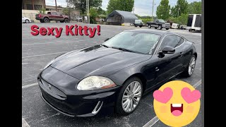 I Found A Sexy Kitty! by Fuzzy Dice Motors 125 views 13 days ago 24 minutes