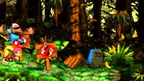 DKC 3: Dixie Kong