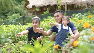 Harvesting Vegetables to Sell, Daily Work on a Mountain Family Farm | EP. 51