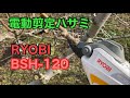 電動剪定ハサミレビュー。RYOBIのBSH-120を使ってみました