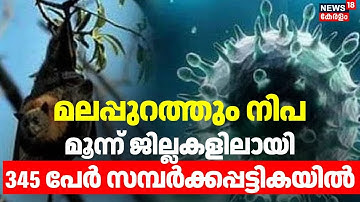മലപ്പുറത്തും നിപ മൂന്ന് ജില്ലകളിലായി 345 പേര്‍ സമ്പര്‍ക്കപ്പട്ടികയില്‍ | Nipah Virus | Malappuram