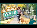 Mastering the perfect walk how to stop your dog from pulling step by step