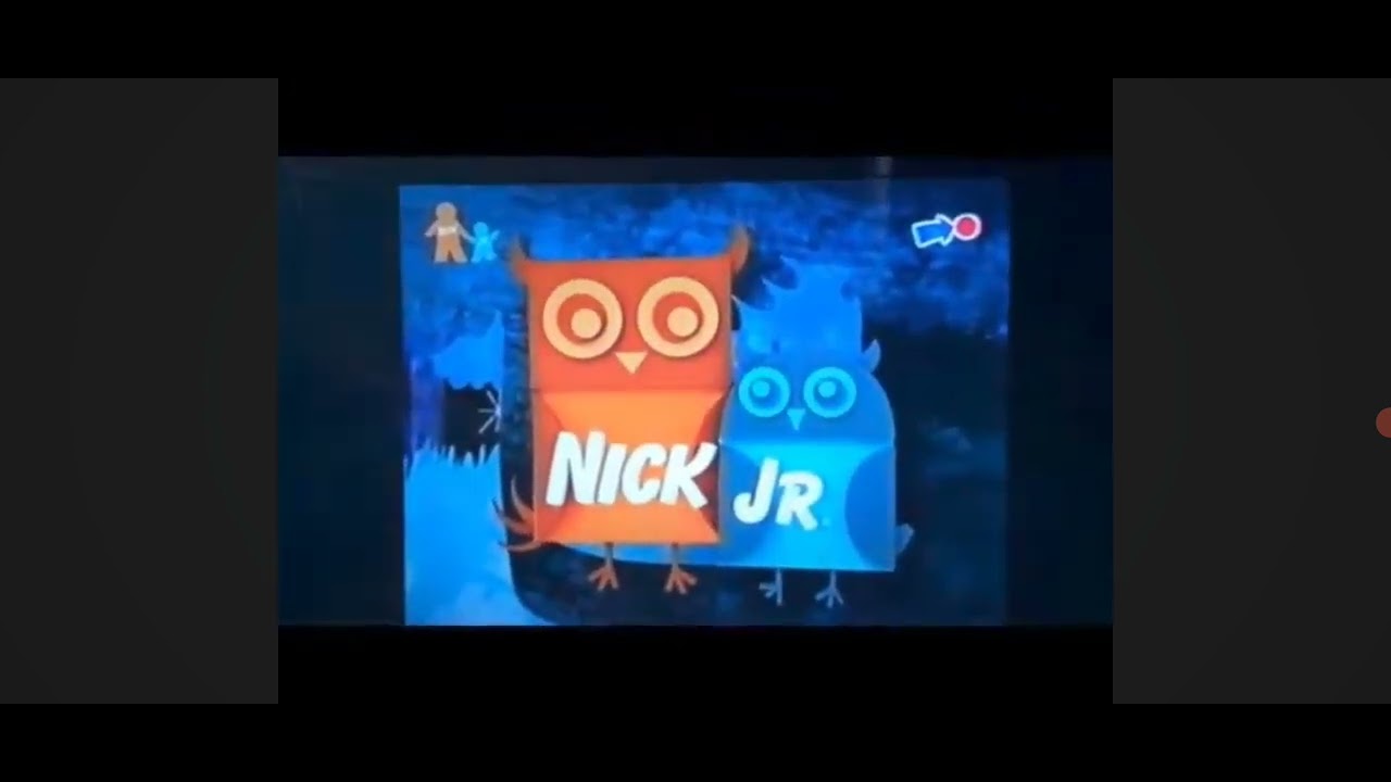 11 de fevereiro de 2026