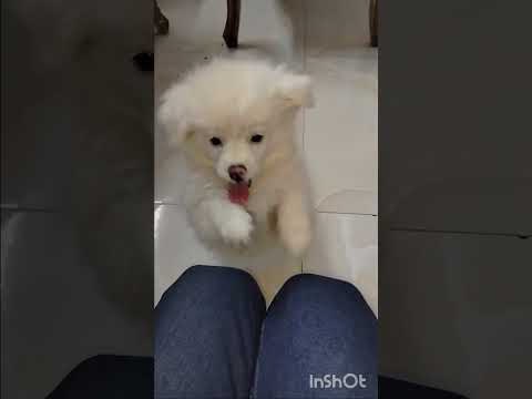 عندى شكة هتخلينى اعمل شك