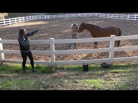 Welcome To The Ranch