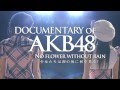 Trailer Baru Untuk “DOCUMENTARY OF AKB48 NO FLOWER WITHOUT RAIN”
