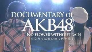 新予告「DOCUMENTARY OF AKB48 NO FLOWER～」リクエストアワー