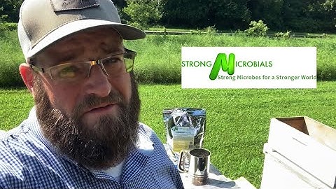 SuperDFM honeybee | Product review | Beekeeping