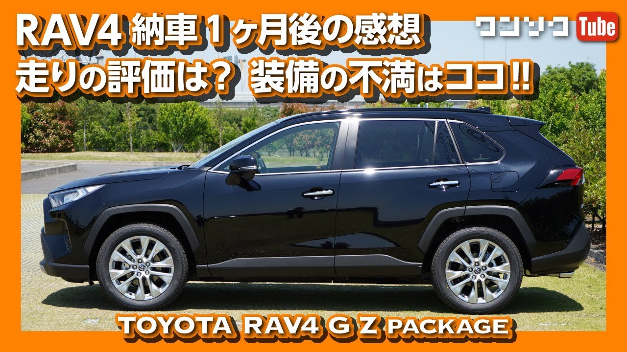 Rav4 ひとり車中泊 マットと折りたたみテーブルで作業してみた ドンキのメガ盛りカツ丼晩ごはん Youtube