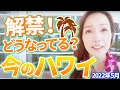 【解禁】どうなってる、今のハワイ(2022年5月)