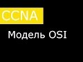 Модель OSI. Инкапсуляция. Сетевые стандарты.