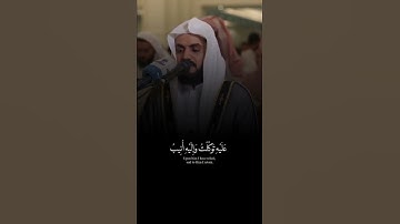 سورة هود | رعد الكردي