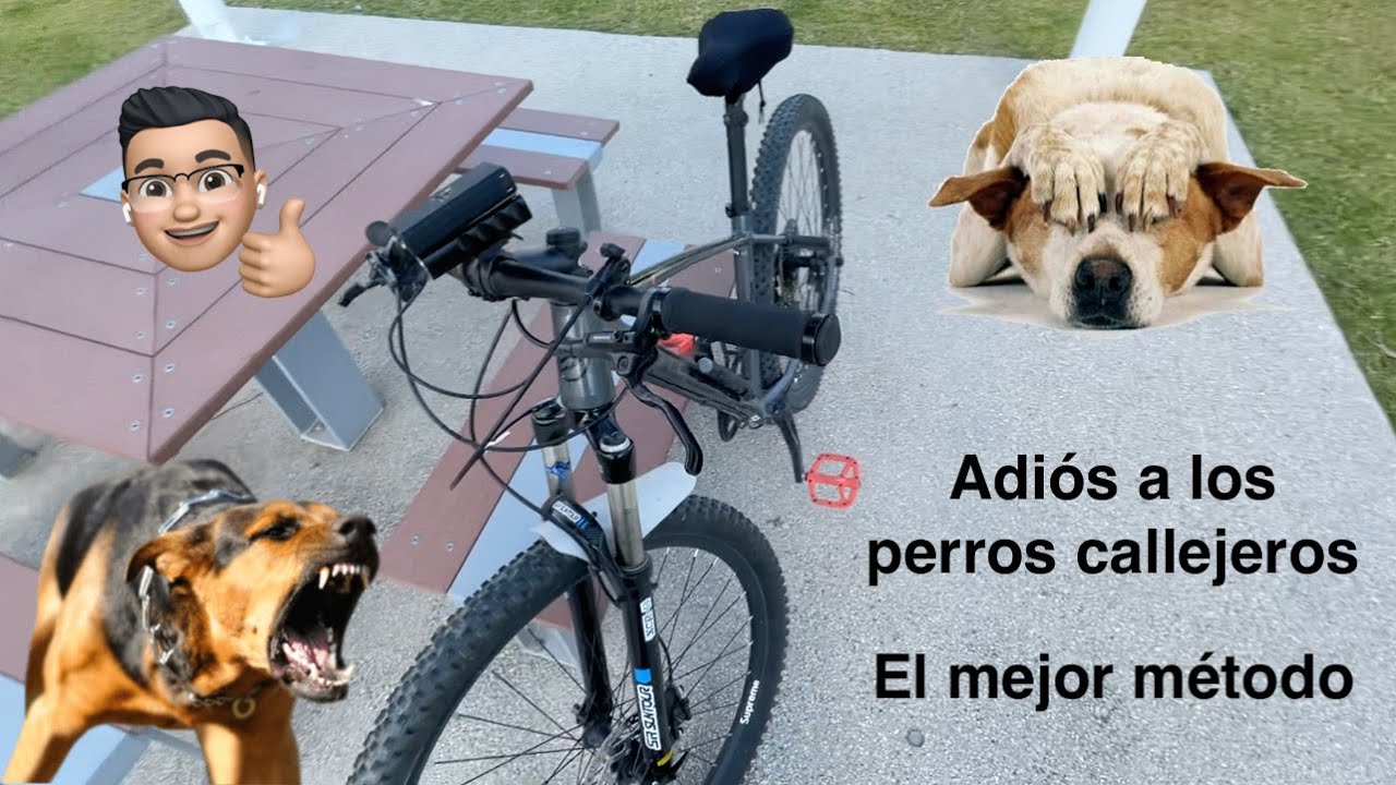 distrito borde moral Como espantar perros en bicicleta eficientemente | 100% efectivo! - YouTube