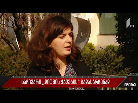 საჩივარი „დიღმის ჭალების“ გადასარჩენად