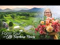 FULL TOUR of the BEAUTIFUL Little Farmhouse Flowers!