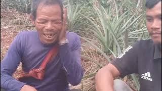U nongtuh ba tbit bad ba shalak .hynrei ha kajuh ka por la ioh la ka bainong😁😁😛 please share lke sub