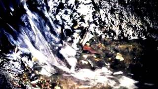 Prorok - Love Story.avi