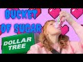 Lushy's Valentine's Day Dollar Tree Sugar Spectacular - Feat. Last Year's Candy Hearts