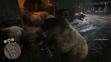 Red Dead Online - PC - Hacker IBanker