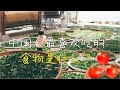 中国人最喜欢吃的食物是什么？【你知道吗】
