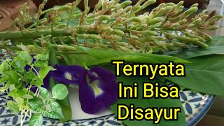 Diumur Segini Baru Tahu Kalau Tanaman ini Bisa Disayur Diumur Segini Baru Tahu Kalau Tanaman ini Bisa Disayur