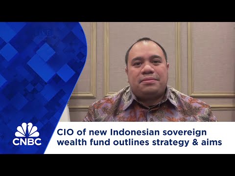 CIO of new Indonesian sovereign wealth fund outlines its aims and strategy Episode cover