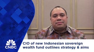 CIO of new Indonesian sovereign wealth fund outlines its aims and strategy