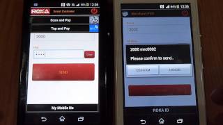 ROKA SONIC MOBILE PAYMENT SYSTEM- CUSTOMER TO MERCHANT screenshot 5