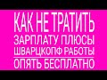 КАК НЕ ТРАТИТЬ ЗАРПЛАТУ В ГЕРМАНИИ  ПЛЮСЫ РАБОТЫ НА ШВАРЦКОПФ  ВСЕ БЕСПЛАТНО ДЛЯ ВАС ТАКЖЕ