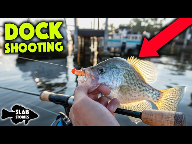 DOCK SHOOTING For Crappie In A Kayak! 