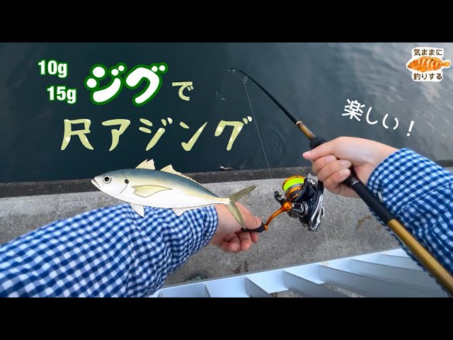 Catching large horse mackerel with jigs is fun at Ohama Fishing