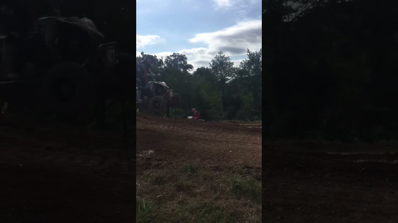 Sleepy hollow mx Bonsai YouTube