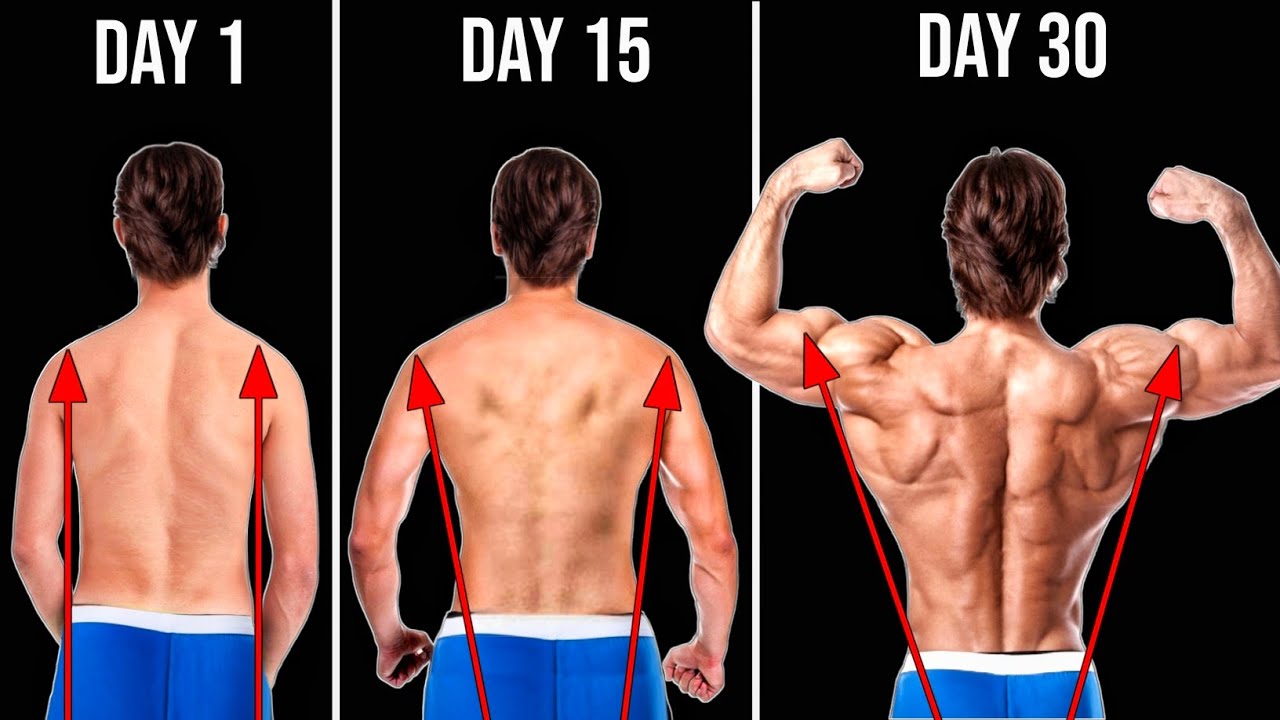 पीठ मस्कुलर और चौड़ी कैसे बनाएं Top V taper back workout at home Back exercises YouTube