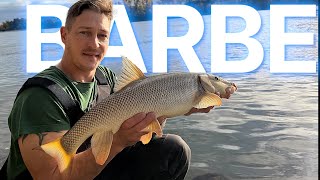 🎣 Short session on the Rhine – successful in only 3 hours!