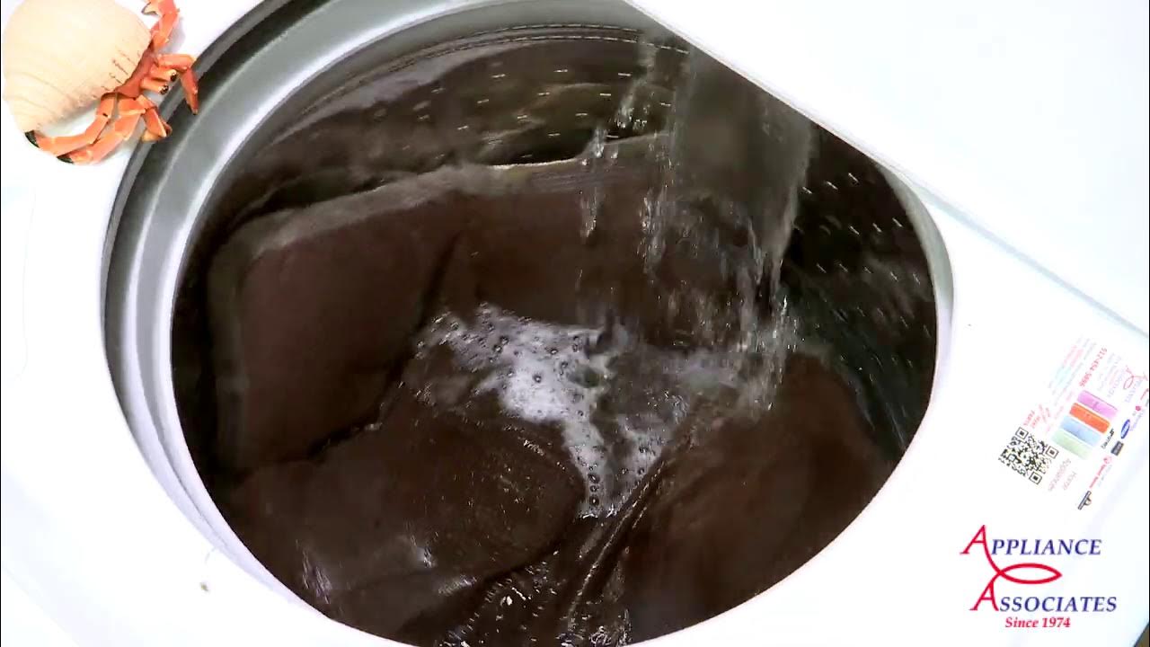 WTW5000DW Whirlpool Top Loader, Bulky Items Sheets Cycle Washing Dog