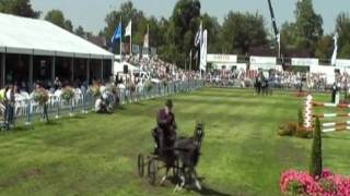 CH015 Hackney's007 jonge rijders en grote maat, ereklasse, Nederlands kampioenschap
