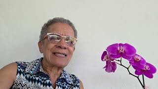 Jamaicans, do not denigrate and devalue our heritage