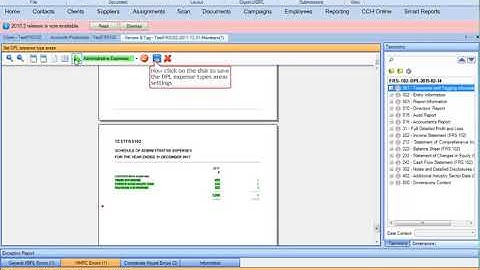 Tagging the DPL in CCH iXBRL Review & Tag