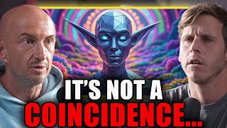 Why Dmt Entities Appear The Same To Everyone Machine Elves Explained Andrew Gallimore