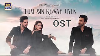 Download lagu Tum Bin Kesay Jiyen OST | Raafay Israr | ARY Digital