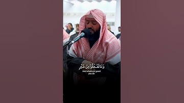 تلاوة طيبة ندية لآيات بينات من #سورة_البقرة من صلاة القيام بصوت القارئ الشيخ #وديع_اليمني