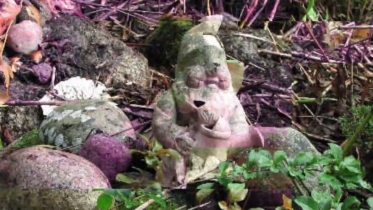Rain and wind in August & old gnome found ~2025.08.24~