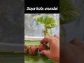 #minivlog38 ||veg kola urundai||soya kola urundai||#cooking #youtube #reels #food #kolaurundai