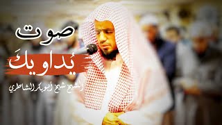 ما أجمل هذه التلاوة ♥ سورة السجدة كاملة للشيخ شيخ أبو بكر الشاطري صلاة التراويح 