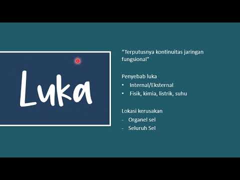 Penyembuhan luka