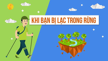 KHI BẠN BỊ LẠC TRONG RỪNG