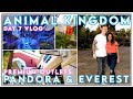 DISNEY WORLD - DAY 7 | Animal Kingdom & Pandora at Night | Saving $$$'s at the Mall, March 2020