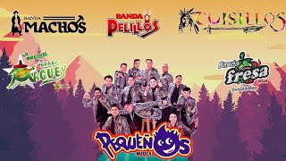 Viejitas De La Banda Para Bailar Mix 2023 - Banda Machos, Banda Pequeños, Banda Cuisillos, Pelillos