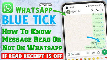 How To Know If Message Read Or Not On Whatsapp If Read Receipt Is Off-Whatsapp Blue Tick Not Showing