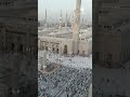 إن الله وملائكته يصلون على النبي يا أيها الذين آمنوا صلوا عليه وسلموا تسليم ا